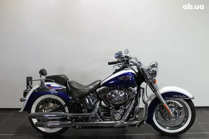 Harley-Davidson FLSTN  Image 7